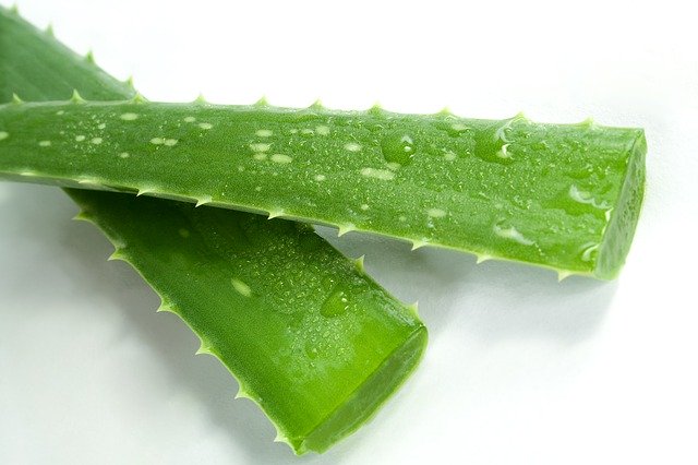 benefits of using aloe vera in natural organic skincare products